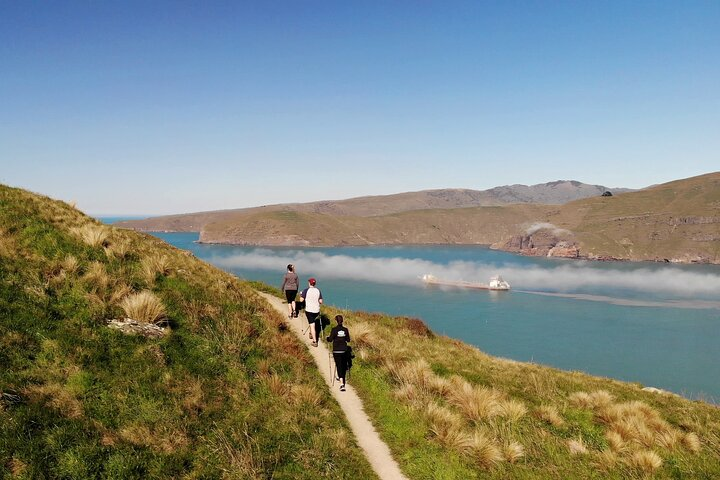 Lyttelton Harbour